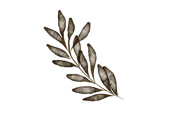 Download Watercolor Leaf Foliage Paint Element - Premium Resources
