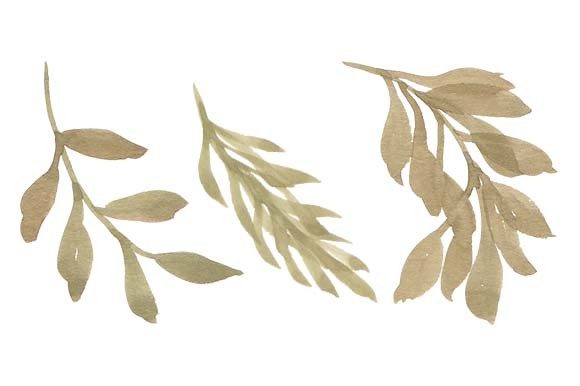 Download Watercolor Leaf Foliage Paint Set - Premium Resources