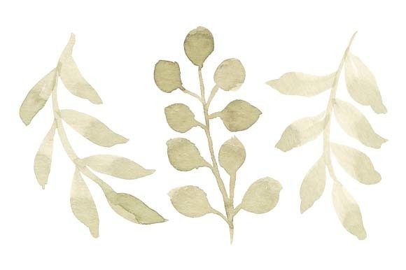 Download Watercolor Green Leaf Foliage Set Paint - Premium Resources